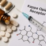 Unlocking the Power of Kappa Opioid Receptor Pharmacology: Breakthroughs & Therapeutic Potential